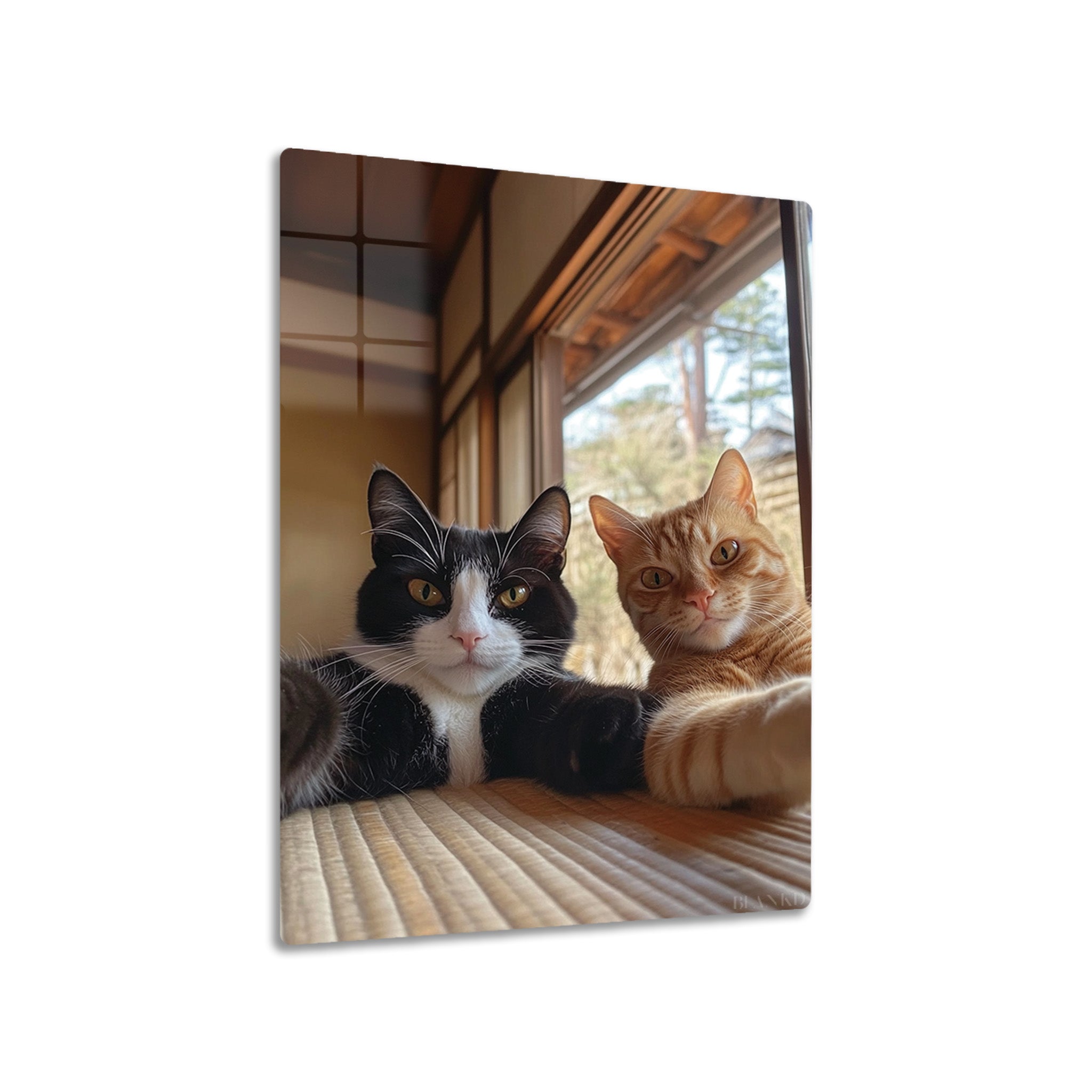 Cat Selfie